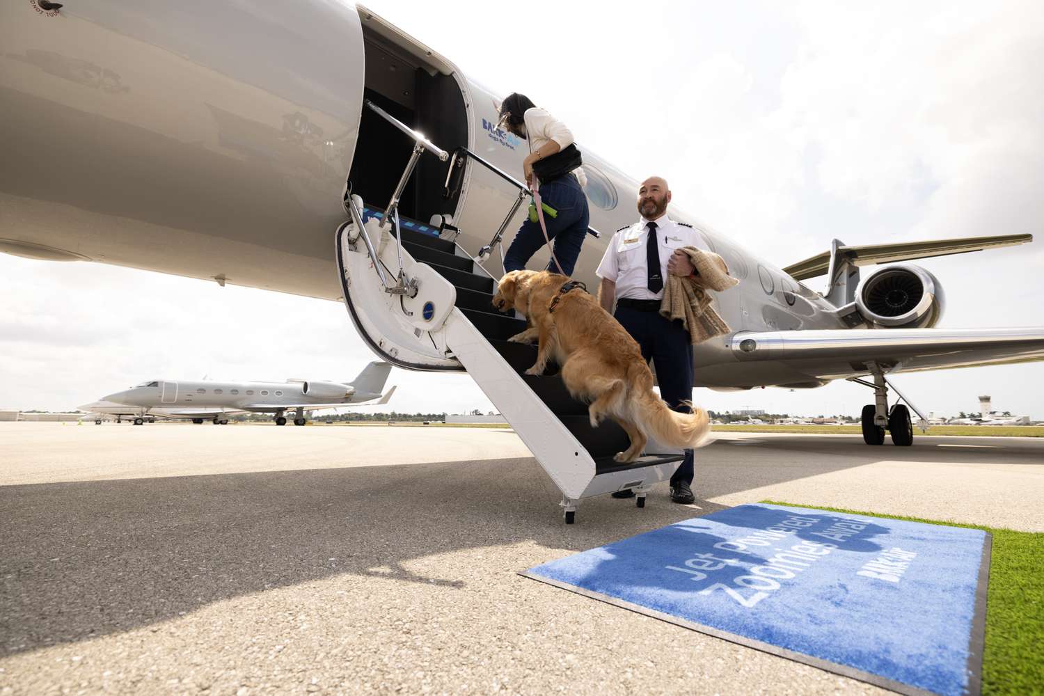 Trips on This Brand-new Airline Company for Pets– with ,000 Tickets– Are Offering Out