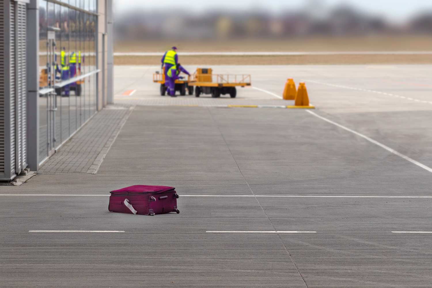 What to Do When an Airline Company Sheds Your Baggage