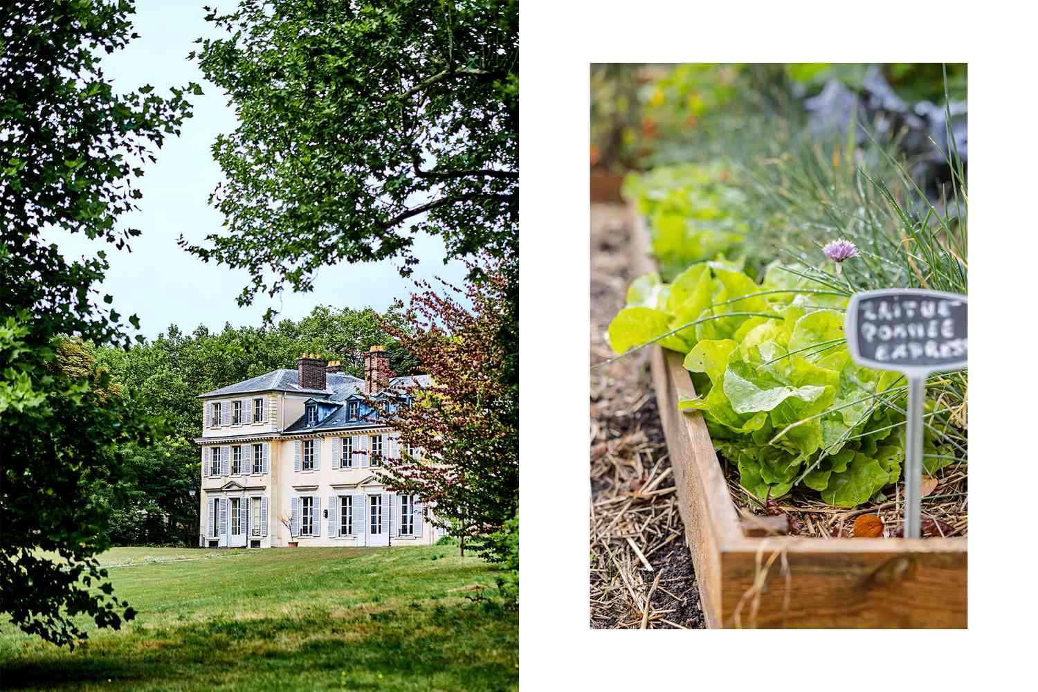 This Luxurious Paris Resort Affords a Farm-to-table Cooking Class at Versailles — This is How one can Guide