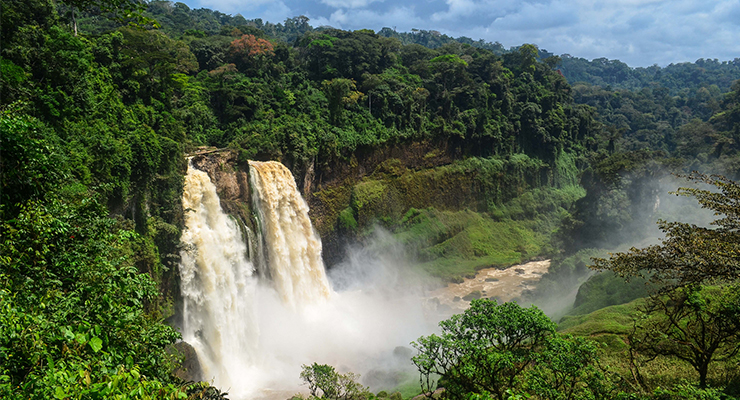 Out Of The Ordinary: Cameroon